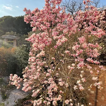 Bed & Breakfast C'era Volta Perugia