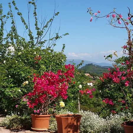 Bed & Breakfast C'era Volta Perugia