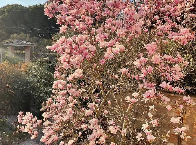 Bed & Breakfast C'era Volta Perugia