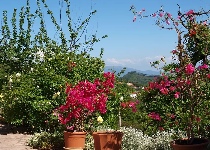 C'era Volta Bed & Breakfast Perugia